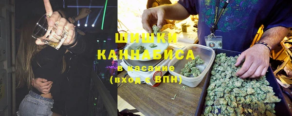 винт Арсеньев