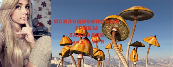 винт Арсеньев