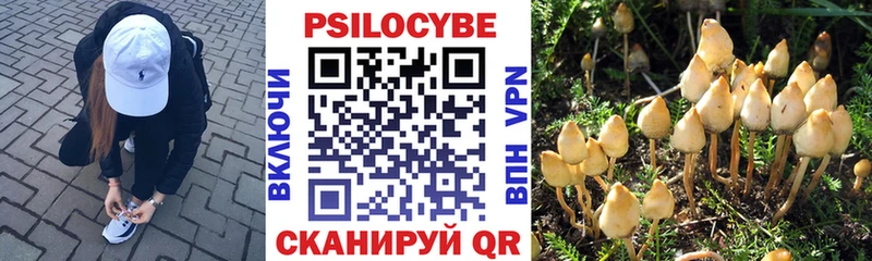 Галлюциногенные грибы прущие грибы  Лабинск 