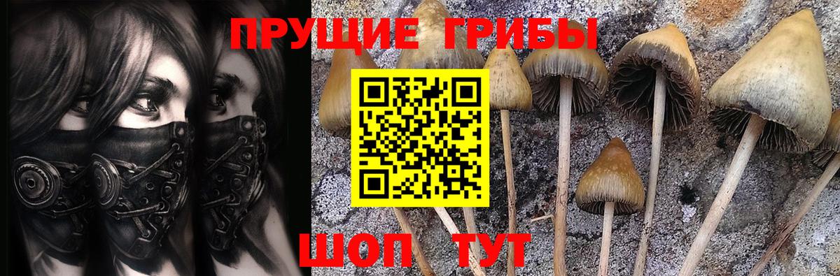 Галлюциногенные грибы Magic Shrooms Лабинск