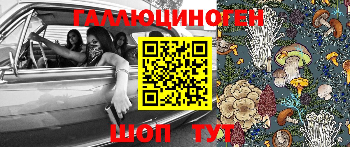 Лабинск  Галлюциногенные грибы GOLDEN TEACHER  Вход с VPN  где продают наркотики  Псилоцибиновые грибы Psilocybine cubensis 
